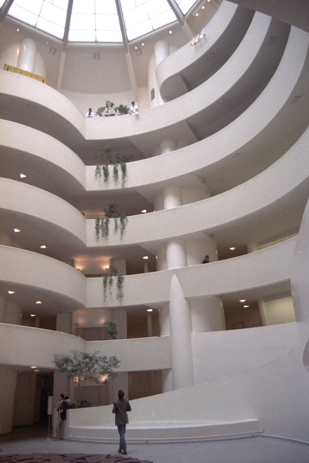 Guggenheim Museum, New York 2